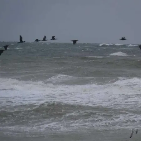 Strandresidenz_kuehlungsborn_ Villa